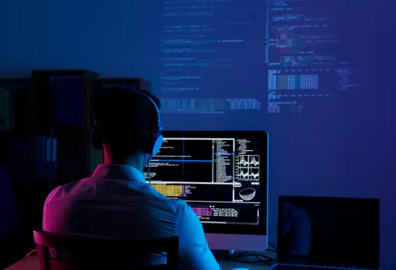 Developer