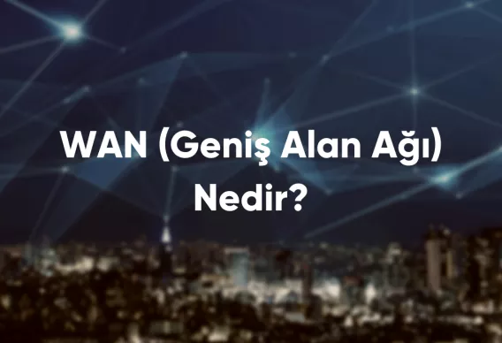 WAN (Geniş Alan Ağı)