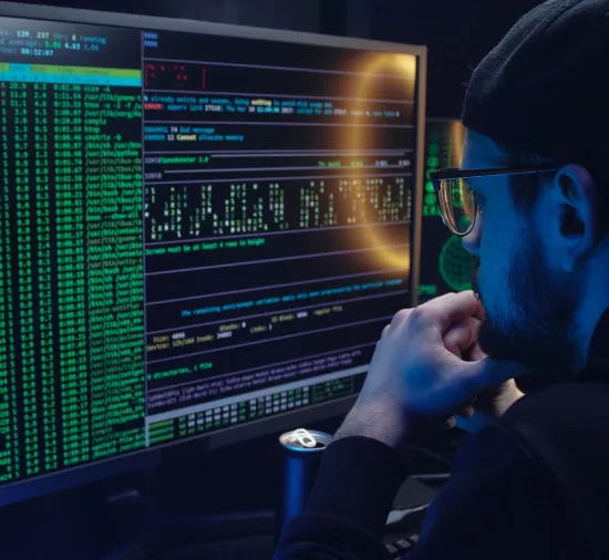Programmer